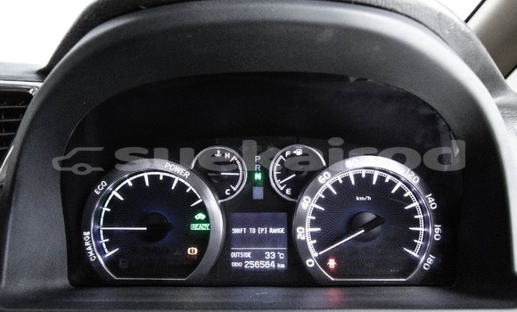 ซื้อ รถมือสอง Toyota Alphard ขาว รถยนต์ ใน %{เมือง} ใน กรุงเทพมหานคร ซื้อ รถมือสอง Toyota Alphard ขาว รถยนต์ ใน %{เมือง} ใน กรุงเทพมหานคร