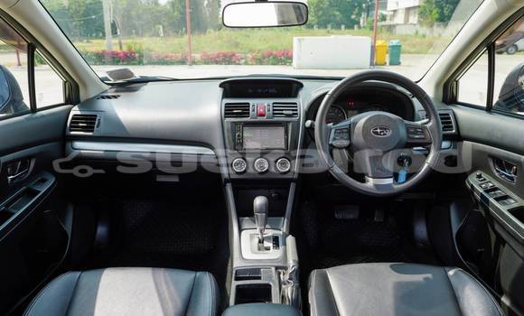 Buy Used Subaru Forester Black Car in Bangkok in Bangkok Buy Used Subaru Forester Black Car in Bangkok in Bangkok