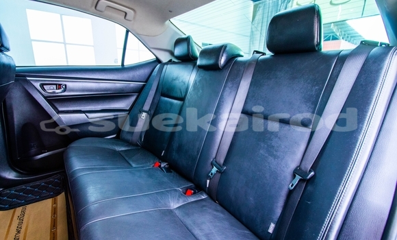 Buy Used Toyota Altis White Car in Bangkok in Bangkok Buy Used Toyota Altis White Car in Bangkok in Bangkok