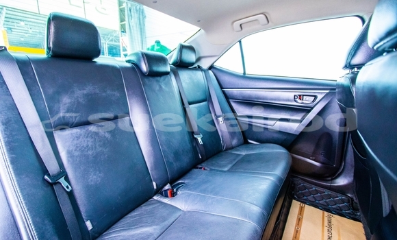 Buy Used Toyota Altis White Car in Bangkok in Bangkok Buy Used Toyota Altis White Car in Bangkok in Bangkok