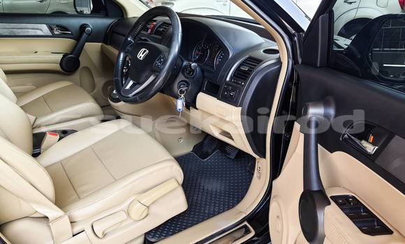 Buy Used Honda Civic Black Car in Bangkok in Bangkok Buy Used Honda Civic Black Car in Bangkok in Bangkok