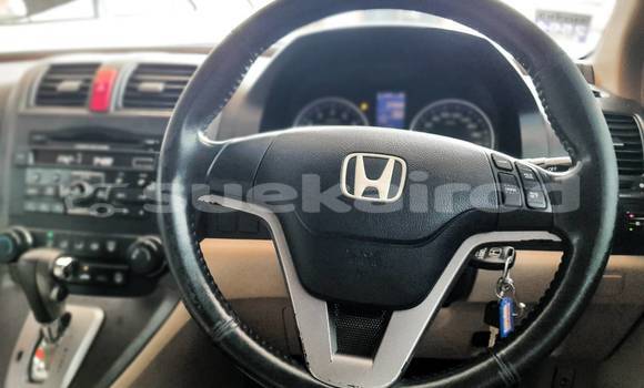 Buy Used Honda Civic Black Car in Bangkok in Bangkok Buy Used Honda Civic Black Car in Bangkok in Bangkok