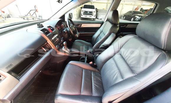 Buy Used Honda CR-V Other Car in Bangkok in Bangkok Buy Used Honda CR-V Other Car in Bangkok in Bangkok