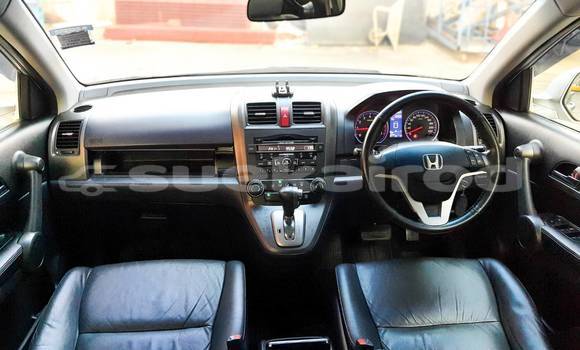 Buy Used Honda CR-V Other Car in Bangkok in Bangkok Buy Used Honda CR-V Other Car in Bangkok in Bangkok