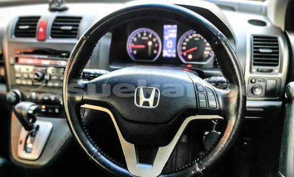 Buy Used Honda CR-V Other Car in Bangkok in Bangkok Buy Used Honda CR-V Other Car in Bangkok in Bangkok