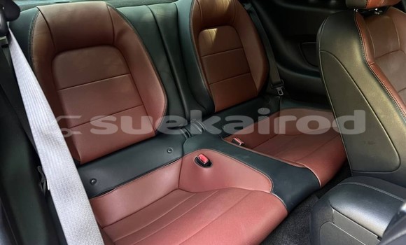 ซื้อ รถมือสอง Ford Mustang อื่น ๆ รถยนต์ ใน %{เมือง} ใน กรุงเทพมหานคร ซื้อ รถมือสอง Ford Mustang อื่น ๆ รถยนต์ ใน %{เมือง} ใน กรุงเทพมหานคร