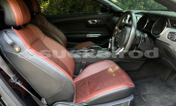 ซื้อ รถมือสอง Ford Mustang อื่น ๆ รถยนต์ ใน %{เมือง} ใน กรุงเทพมหานคร ซื้อ รถมือสอง Ford Mustang อื่น ๆ รถยนต์ ใน %{เมือง} ใน กรุงเทพมหานคร