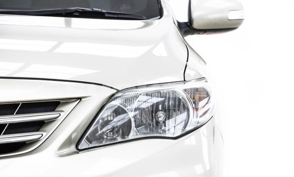 Buy Used Toyota Altis Brown Car in Bangkok in Bangkok Buy Used Toyota Altis Brown Car in Bangkok in Bangkok
