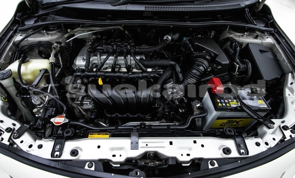 Buy Used Toyota Altis Brown Car in Bangkok in Bangkok Buy Used Toyota Altis Brown Car in Bangkok in Bangkok