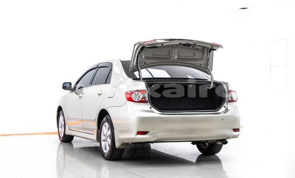 Buy Used Toyota Altis Brown Car in Bangkok in Bangkok Buy Used Toyota Altis Brown Car in Bangkok in Bangkok