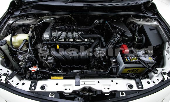 Buy Used Toyota Altis Brown Car in Bangkok in Bangkok Buy Used Toyota Altis Brown Car in Bangkok in Bangkok