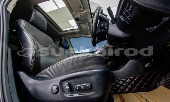 ซื้อ รถมือสอง Toyota Prius สีดำ รถยนต์ ใน %{เมือง} ใน กรุงเทพมหานคร ซื้อ รถมือสอง Toyota Prius สีดำ รถยนต์ ใน %{เมือง} ใน กรุงเทพมหานคร