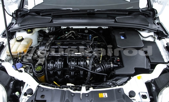 ซื้อ รถมือสอง Ford Focus ขาว รถยนต์ ใน %{เมือง} ใน กรุงเทพมหานคร ซื้อ รถมือสอง Ford Focus ขาว รถยนต์ ใน %{เมือง} ใน กรุงเทพมหานคร