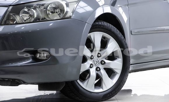 Buy Used Honda Accord Other Car in Bangkok in Bangkok Buy Used Honda Accord Other Car in Bangkok in Bangkok
