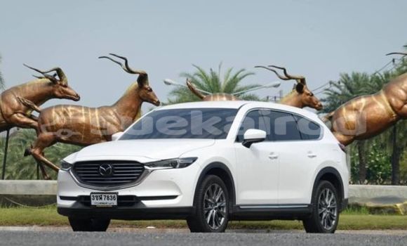 ซื้อ รถมือสอง Mazda CX-8 ขาว รถยนต์ ใน %{เมือง} ใน กรุงเทพมหานคร ซื้อ รถมือสอง Mazda CX-8 ขาว รถยนต์ ใน %{เมือง} ใน กรุงเทพมหานคร