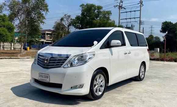 Buy Used Toyota Alphard White Car in Bangkok in Bangkok