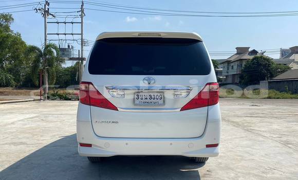 Buy Used Toyota Alphard White Car in Bangkok in Bangkok Buy Used Toyota Alphard White Car in Bangkok in Bangkok
