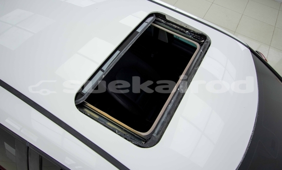 ซื้อ รถมือสอง MG 3 สีแดง รถยนต์ ใน %{เมือง} ใน สมุทรสาคร ซื้อ รถมือสอง MG 3 สีแดง รถยนต์ ใน %{เมือง} ใน สมุทรสาคร