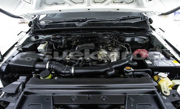 Buy Used Nissan Navara White Car in Bangkok in Bangkok Buy Used Nissan Navara White Car in Bangkok in Bangkok