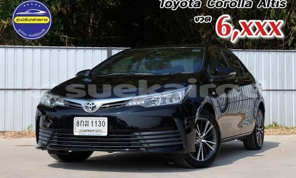 Buy Used Toyota Altis Black Car in Udon Thani in Udon Thani