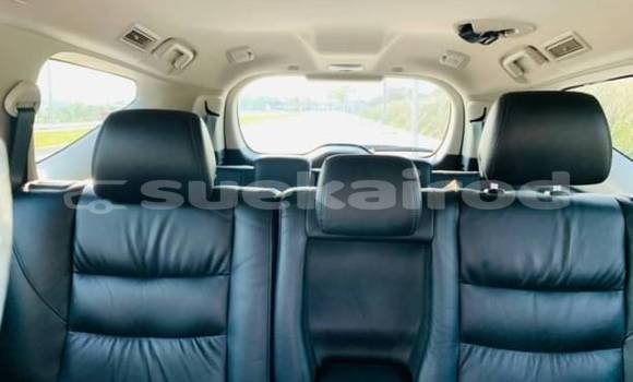 Buy Used Mitsubishi Pajero Sport White Car in Bangkok in Bangkok Buy Used Mitsubishi Pajero Sport White Car in Bangkok in Bangkok