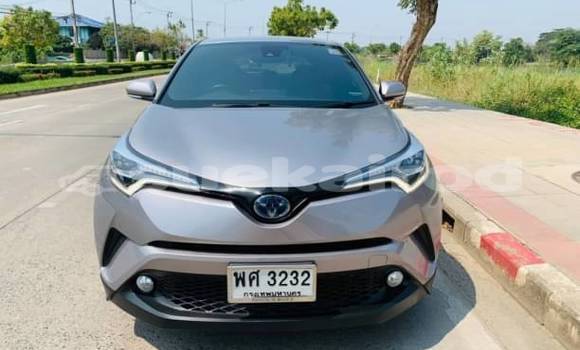 ซื้อ รถมือสอง Toyota C-HR อื่น ๆ รถยนต์ ใน %{เมือง} ใน กรุงเทพมหานคร ซื้อ รถมือสอง Toyota C-HR อื่น ๆ รถยนต์ ใน %{เมือง} ใน กรุงเทพมหานคร