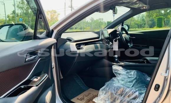 ซื้อ รถมือสอง Toyota C-HR อื่น ๆ รถยนต์ ใน %{เมือง} ใน กรุงเทพมหานคร ซื้อ รถมือสอง Toyota C-HR อื่น ๆ รถยนต์ ใน %{เมือง} ใน กรุงเทพมหานคร