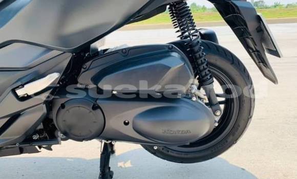 Buy Used Honda Forza Other Bike in Bangkok in Bangkok Buy Used Honda Forza Other Bike in Bangkok in Bangkok