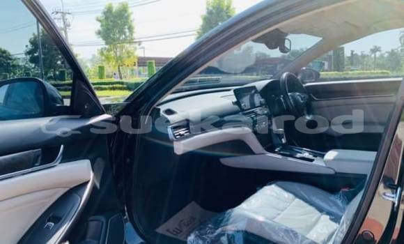 Buy Used Honda Accord Black Car in Bangkok in Bangkok Buy Used Honda Accord Black Car in Bangkok in Bangkok