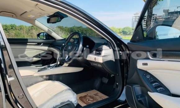 Buy Used Honda Accord Black Car in Bangkok in Bangkok Buy Used Honda Accord Black Car in Bangkok in Bangkok