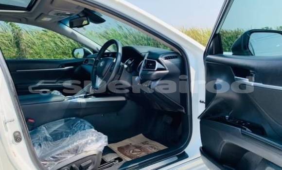 ซื้อ รถมือสอง Toyota Camry ขาว รถยนต์ ใน %{เมือง} ใน กรุงเทพมหานคร ซื้อ รถมือสอง Toyota Camry ขาว รถยนต์ ใน %{เมือง} ใน กรุงเทพมหานคร