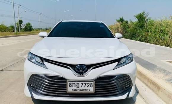 ซื้อ รถมือสอง Toyota Camry ขาว รถยนต์ ใน %{เมือง} ใน กรุงเทพมหานคร ซื้อ รถมือสอง Toyota Camry ขาว รถยนต์ ใน %{เมือง} ใน กรุงเทพมหานคร