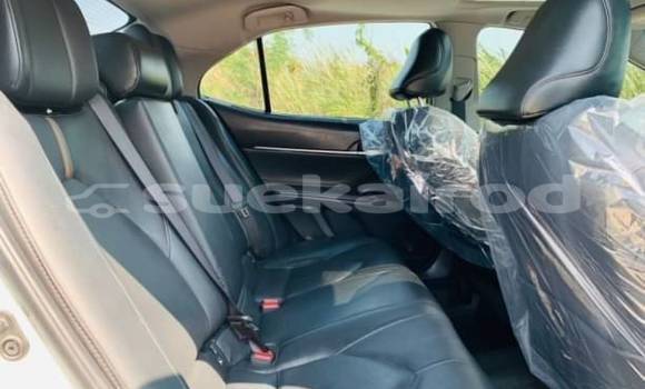 ซื้อ รถมือสอง Toyota Camry ขาว รถยนต์ ใน %{เมือง} ใน กรุงเทพมหานคร ซื้อ รถมือสอง Toyota Camry ขาว รถยนต์ ใน %{เมือง} ใน กรุงเทพมหานคร