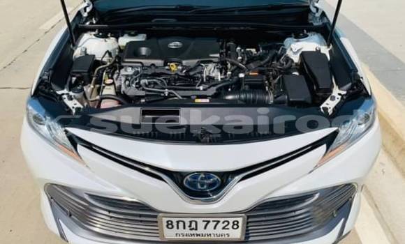 ซื้อ รถมือสอง Toyota Camry ขาว รถยนต์ ใน %{เมือง} ใน กรุงเทพมหานคร ซื้อ รถมือสอง Toyota Camry ขาว รถยนต์ ใน %{เมือง} ใน กรุงเทพมหานคร