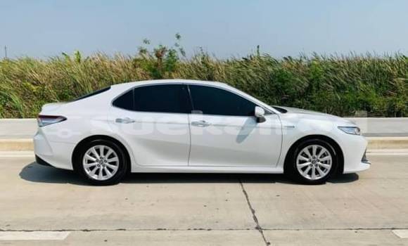 ซื้อ รถมือสอง Toyota Camry ขาว รถยนต์ ใน %{เมือง} ใน กรุงเทพมหานคร ซื้อ รถมือสอง Toyota Camry ขาว รถยนต์ ใน %{เมือง} ใน กรุงเทพมหานคร
