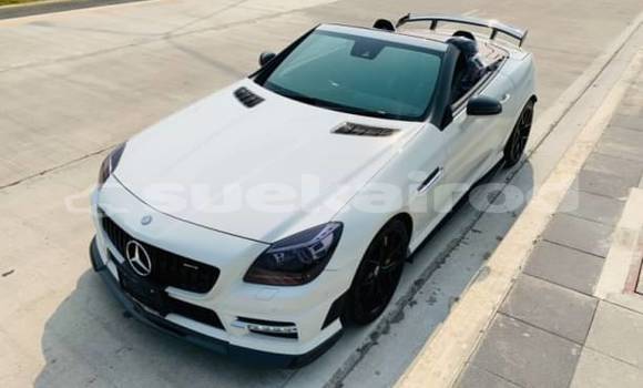 Buy Used Mercedes-Benz SLC-klasse AMG White Car in Bangkok in Bangkok Buy Used Mercedes-Benz SLC-klasse AMG White Car in Bangkok in Bangkok