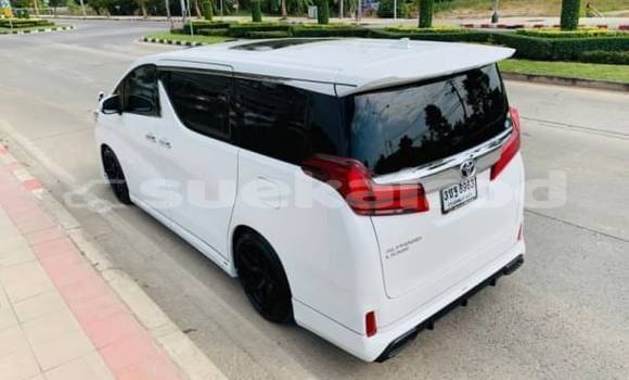 ซื้อ รถมือสอง Toyota Alphard ขาว รถยนต์ ใน %{เมือง} ใน กรุงเทพมหานคร ซื้อ รถมือสอง Toyota Alphard ขาว รถยนต์ ใน %{เมือง} ใน กรุงเทพมหานคร