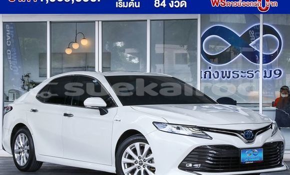 Buy Used Toyota Camry White Car in Bangkok in Bangkok