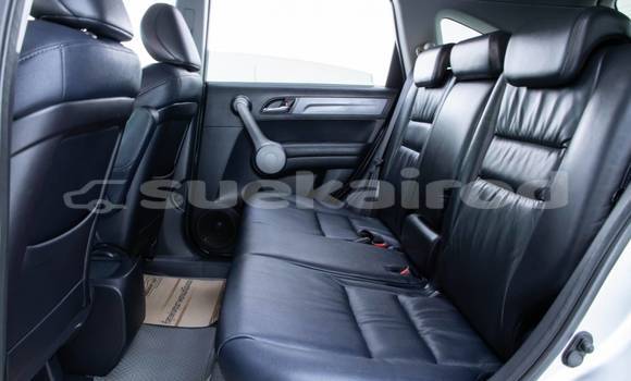 Buy Used Honda CR-V Other Car in Bangkok in Bangkok Buy Used Honda CR-V Other Car in Bangkok in Bangkok