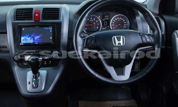 Buy Used Honda CR-V Other Car in Bangkok in Bangkok Buy Used Honda CR-V Other Car in Bangkok in Bangkok
