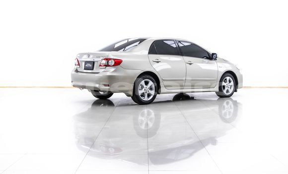 Buy Used Toyota Altis Brown Car in Bangkok in Bangkok Buy Used Toyota Altis Brown Car in Bangkok in Bangkok
