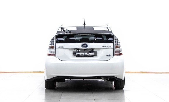 ซื้อ รถมือสอง Toyota Prius ขาว รถยนต์ ใน %{เมือง} ใน กรุงเทพมหานคร ซื้อ รถมือสอง Toyota Prius ขาว รถยนต์ ใน %{เมือง} ใน กรุงเทพมหานคร