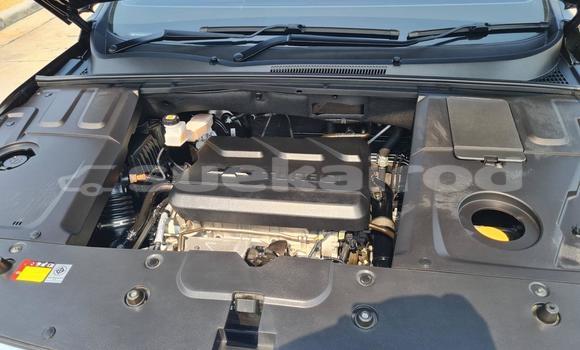 ซื้อ รถมือสอง Chevrolet Captiva สีดำ รถยนต์ ใน %{เมือง} ใน กรุงเทพมหานคร ซื้อ รถมือสอง Chevrolet Captiva สีดำ รถยนต์ ใน %{เมือง} ใน กรุงเทพมหานคร