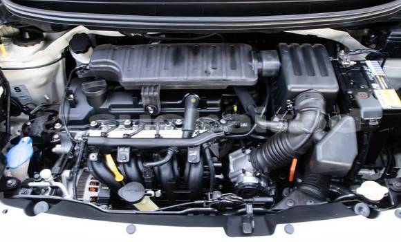 Buy Used Kia Picanto Brown Car in Bangkok in Bangkok Buy Used Kia Picanto Brown Car in Bangkok in Bangkok