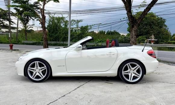Buy Used Mercedes‒Benz SLK–Class White Car in Bangkok in Bangkok Buy Used Mercedes‒Benz SLK–Class White Car in Bangkok in Bangkok