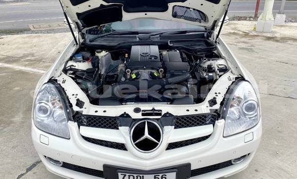 Buy Used Mercedes‒Benz SLK–Class White Car in Bangkok in Bangkok Buy Used Mercedes‒Benz SLK–Class White Car in Bangkok in Bangkok