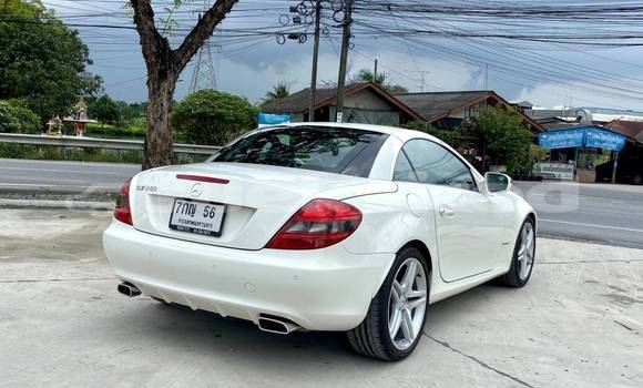Buy Used Mercedes‒Benz SLK–Class White Car in Bangkok in Bangkok Buy Used Mercedes‒Benz SLK–Class White Car in Bangkok in Bangkok