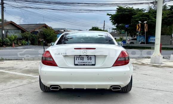 Buy Used Mercedes‒Benz SLK–Class White Car in Bangkok in Bangkok Buy Used Mercedes‒Benz SLK–Class White Car in Bangkok in Bangkok