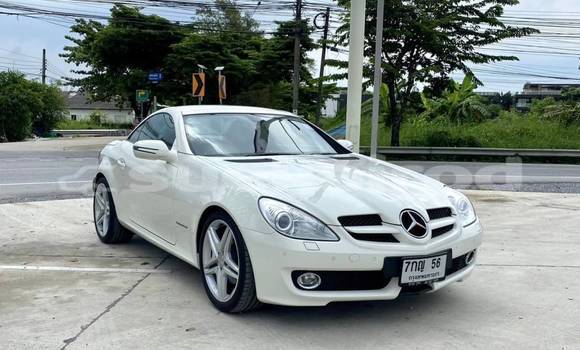 Buy Used Mercedes‒Benz SLK–Class White Car in Bangkok in Bangkok Buy Used Mercedes‒Benz SLK–Class White Car in Bangkok in Bangkok