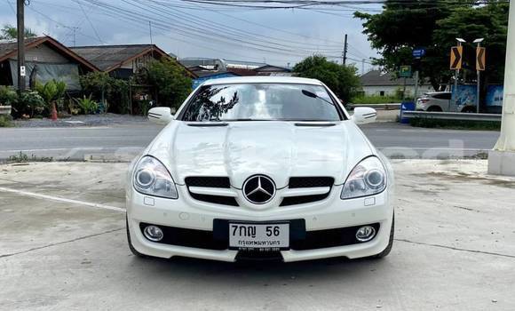 Buy Used Mercedes‒Benz SLK–Class White Car in Bangkok in Bangkok Buy Used Mercedes‒Benz SLK–Class White Car in Bangkok in Bangkok